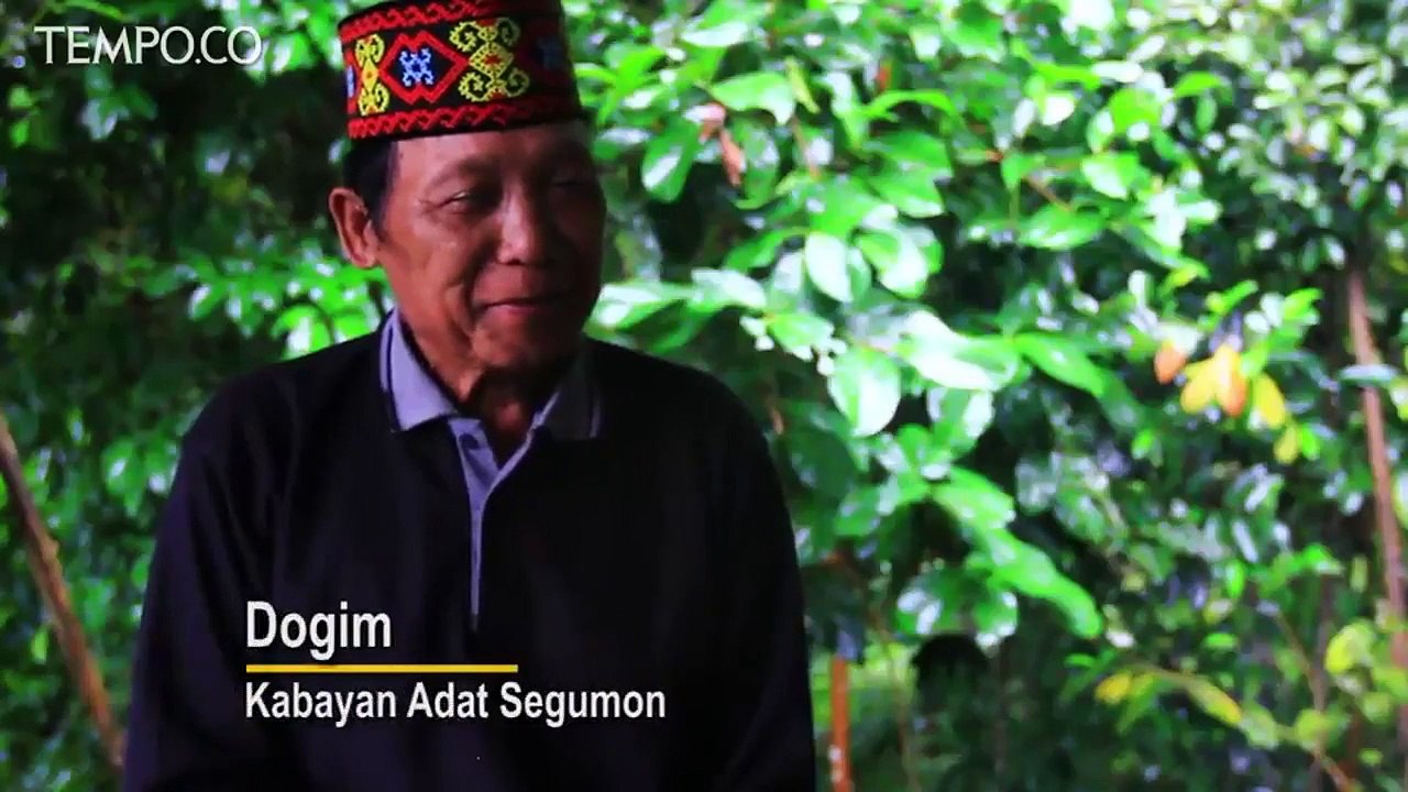Bangkit dari Kepungan Sawit