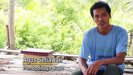 Meraup Untung di Hutan Bakau