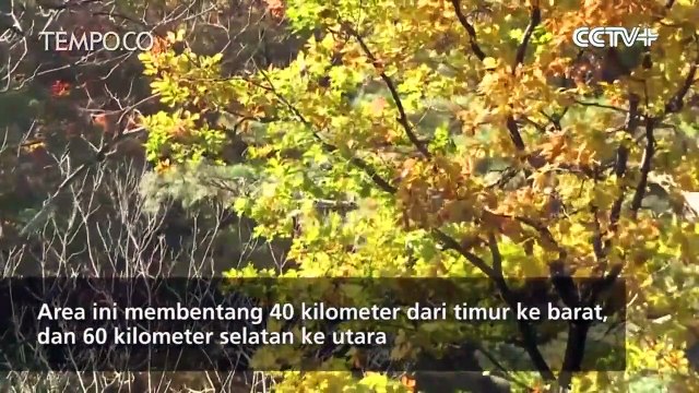 Melihat Lebih Dekat Pesona Gunung Kumgang Korea Utara