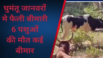 फर्रुखाबाद : घुमंतू जानवरों में फैली बीमारी से 6 की मौत‚ कई बीमार प्रशासन मौन