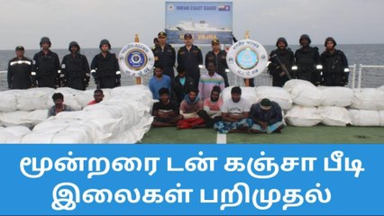 இலங்கைக்கு கடத்த முயன்ற 3 டன் கஞ்சா, பீடி இலை