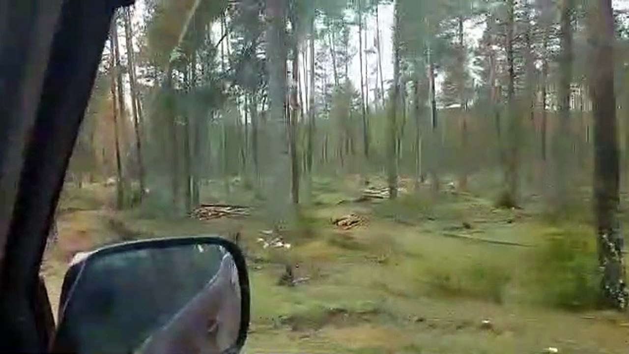 Las talas para fabricar pellets se comen el bosque del nacimiento del Tajo