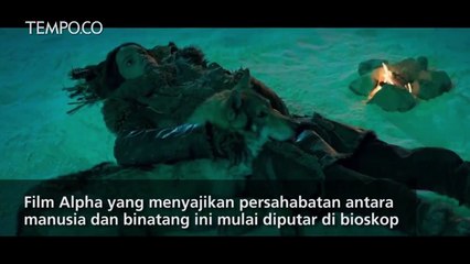 5 Fakta Unik Film Alpha yang Perlu Diketahui