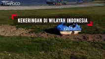 Kekeringan di Wilayah Indonesia