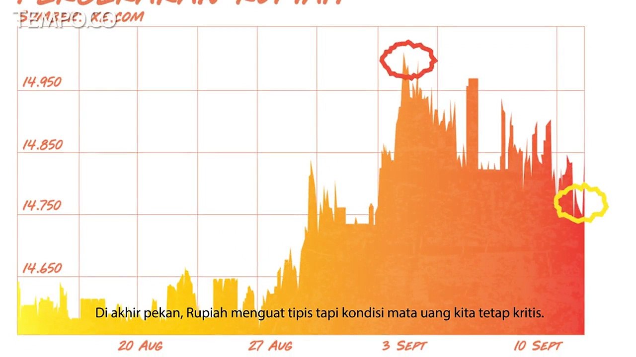 Pil Pahit Penjinak Rupiah