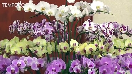 Presiden Jokowi Bertemu Parlemen Vietnam, Bahas 3 Isu