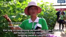 Kebun Sayur Korea Utara untuk Model Nasional