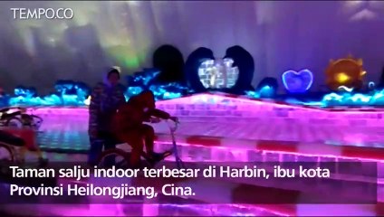 Berkunjung ke Taman Es Indoor Terbesar di Harbin