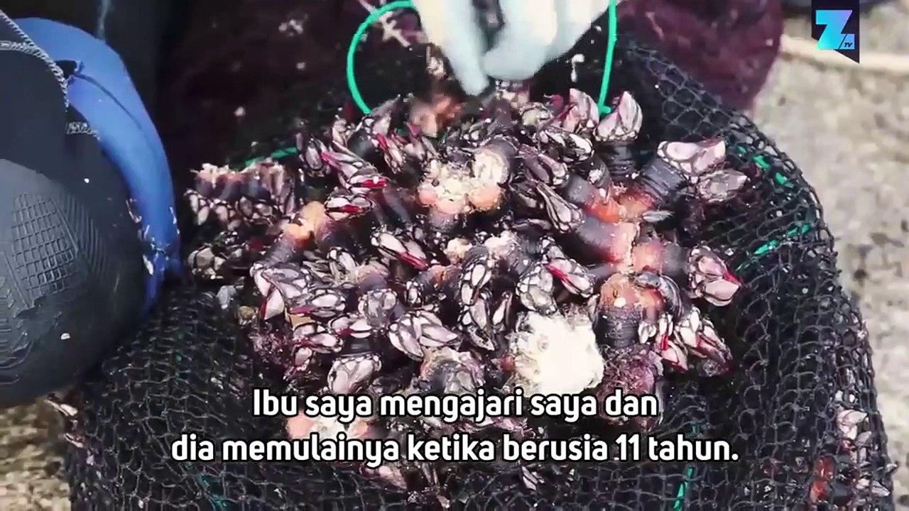 Pantai Segala Jenis Tubuh