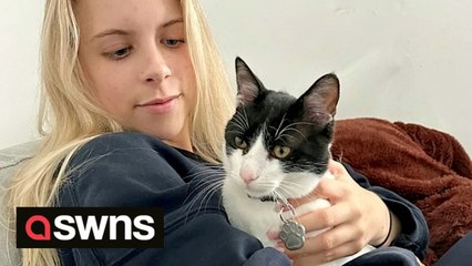 Couple rescue kitten after 'falling in love with him' on holiday in Greece