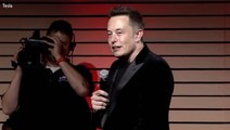Elon Musk Eyes Potential Tesla CEO Successor