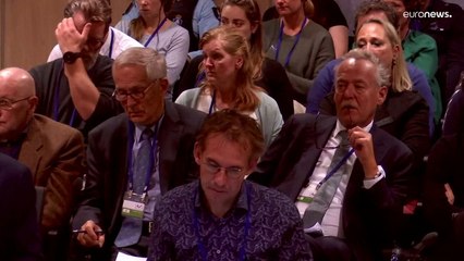 Un tribunal neerlandés condena a dos rusos y un ucraniano por el derribo del MH17