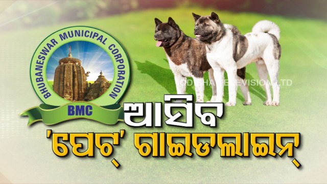 BMC issues new guidelines for personally owned dogs