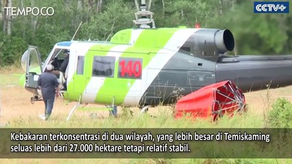 Kebakaran Hutan Masih Melanda Tujuh Wilayah di Ontario