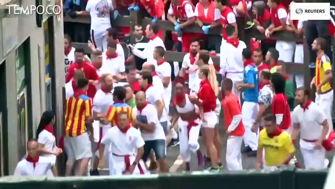 Tradisi Banteng Berlari di Spanyol yang Menegangkan