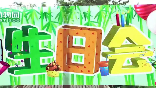 Pesta Ulang Tahun Panda Raksasa Jinhu