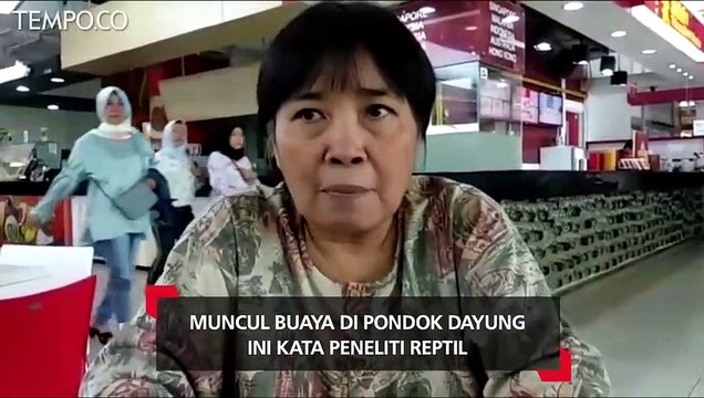 Muncul Buaya di Pondok Dayung, Ini Kata Ahli Peneliti Reptil