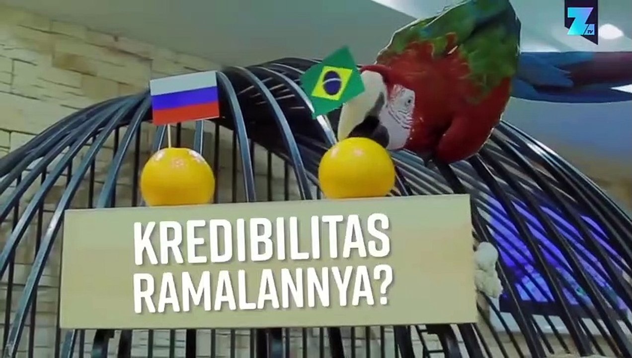 Pemenang Piala Dunia? Burung Beo Peramal Memili...