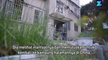 Akupunktur untuk Hewan Peliharaan