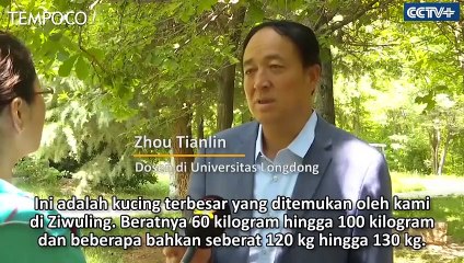 Bintang Muslim Piala Dunia 2018