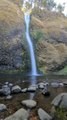 Waterfalls in a Rain Forest