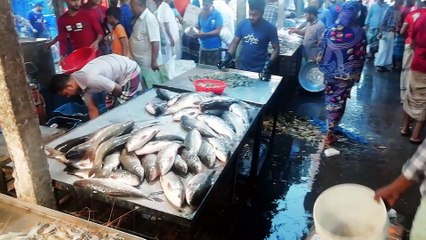 A Big Fish Market-Many Type of Fish Displayed For Sale