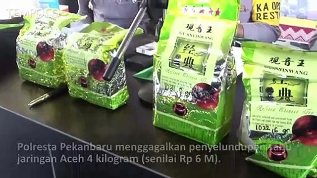 Ditangkap Penyelundup Sabu 4 Kg Senilai Rp 6 M