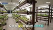 [HOT] the possibility of urban agriculture, MBC 다큐프라임 221113