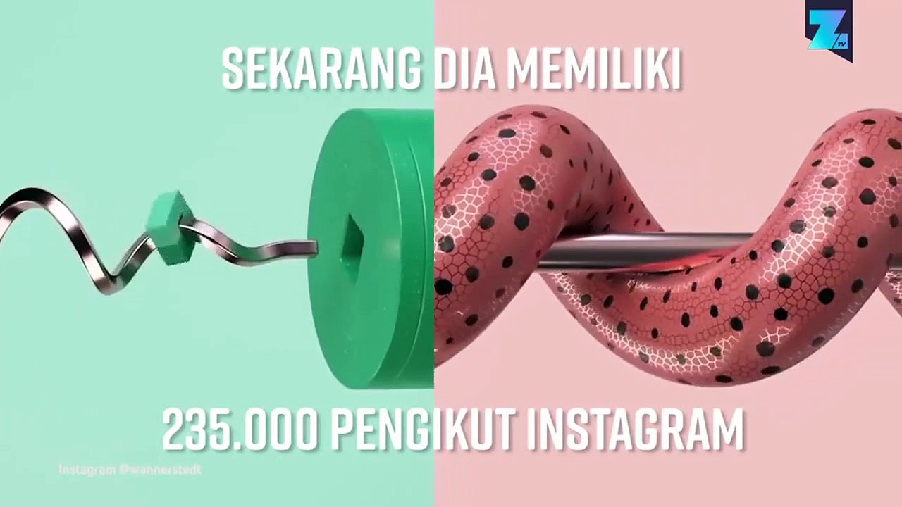 Animasi Impian Para Perfeksionis