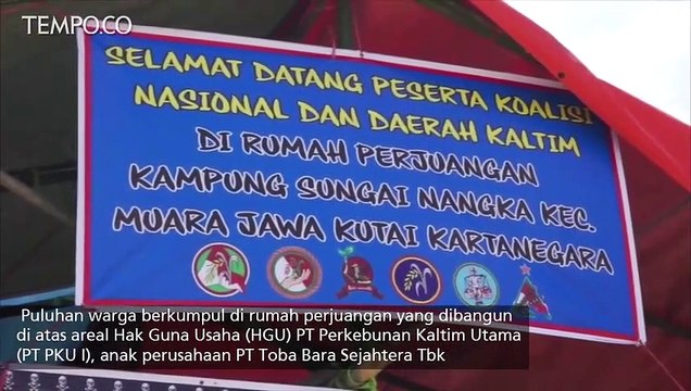 Petani Tolak Perkebunan Sawit Milik Luhut Binsar di Kutai