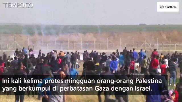 Bentrok Dengan Tentara Israel, Tiga Warga Palestina Tewas di Gaza