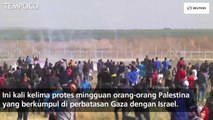Bentrok Dengan Tentara Israel, Tiga Warga Palestina Tewas di Gaza