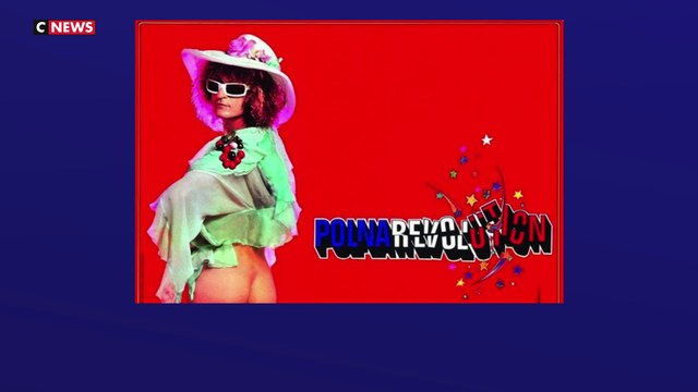 Michel Polnareff : «'Lettre à France' est l'hymne des expatriés»