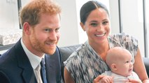 Jane Goodall Said Prince Harry Originally Wanted to Raise Archie in Africa