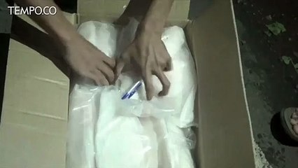 Balai Karantina Gagalkan Penyelundupan 28 Ton Ikan Ilegal