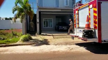 Urubu invade residência e Corpo de Bombeiros é mobilizado