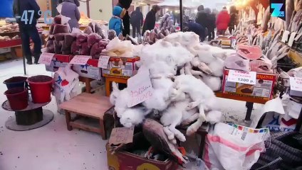 Makanan Ekstrem Bersuhu -47¬∞. Apa yang Akan Kamu Coba?