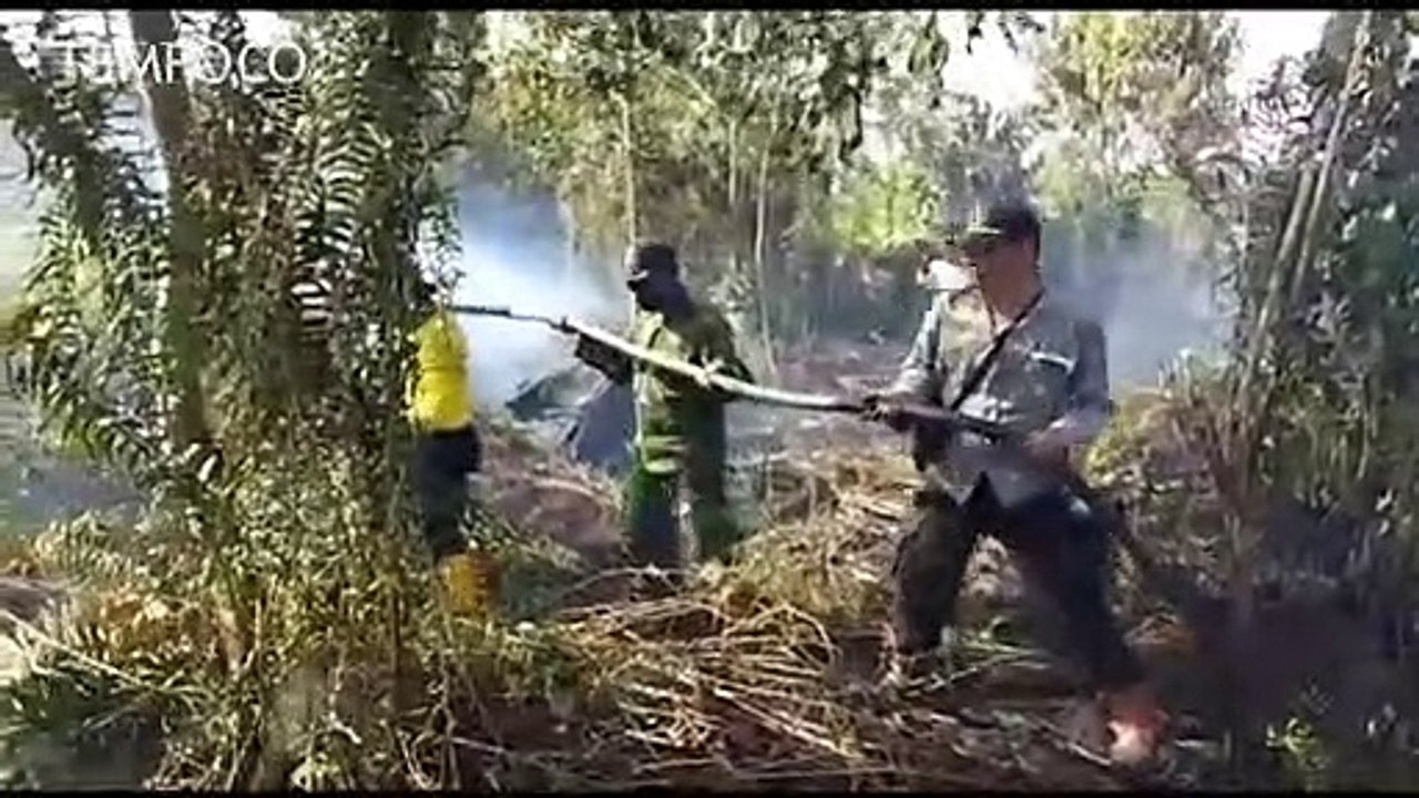 Polda Riau Tangkap 4 Orang Pelaku Pembakaran Lahan