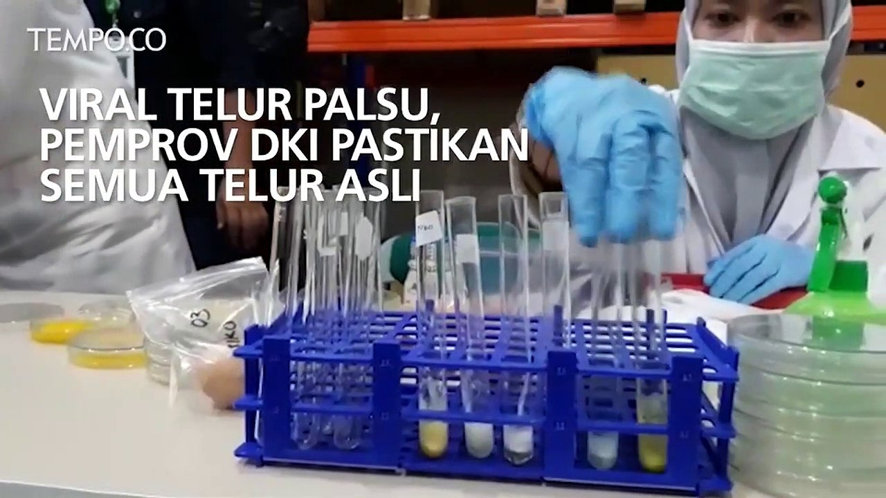 Viral Telur Palsu, Pemprov DKI Pastikan Semua Telur Asli