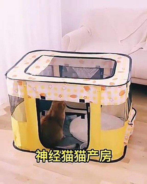 Pet Cage Portable