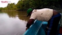 Menjala Ikan di Sungai Mamat