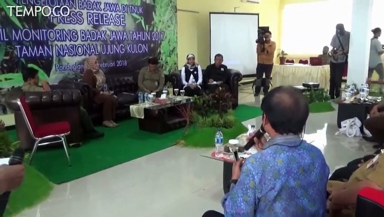 Dalam Empat Tahun Populasi Badak Jawa di Ujung Kulon Bertambah