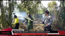 Polda Riau Selidiki 13 Kasus Kebakaran Lahan