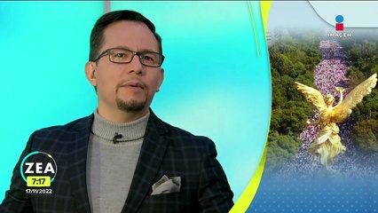 ¿De dónde provienen y para qué sirven las marchas?