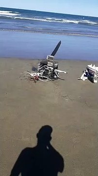 Avião monomotor com duas pessoas cai em praia de SC