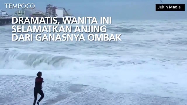 Dramatis, Wanita Ini Selamatkan Anjing dari Ganasnya Ombak