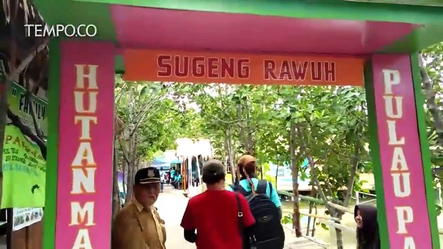 Hutan Mangrove Brebes, Tempat Ngadem di Pesisir Pantura