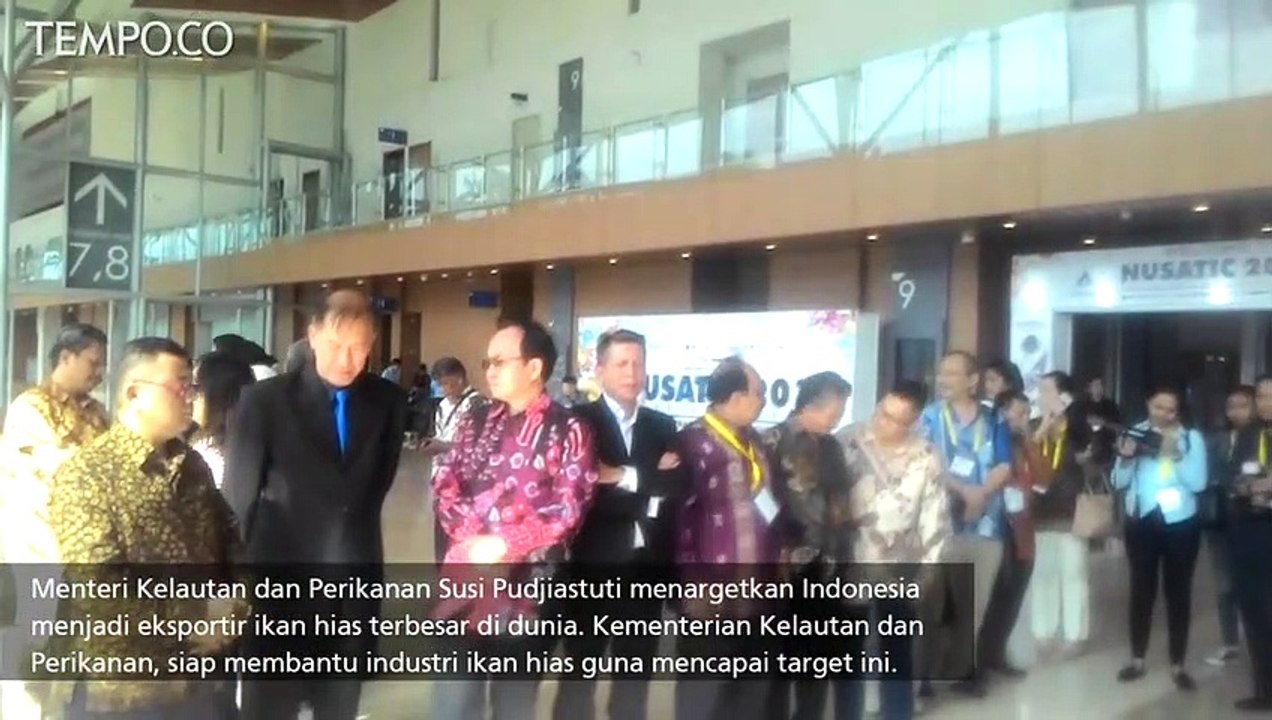 Target Susi Pudjiastuti, Indonesia Jadi Eksportir Ikan Hias Terbesar di Dunia