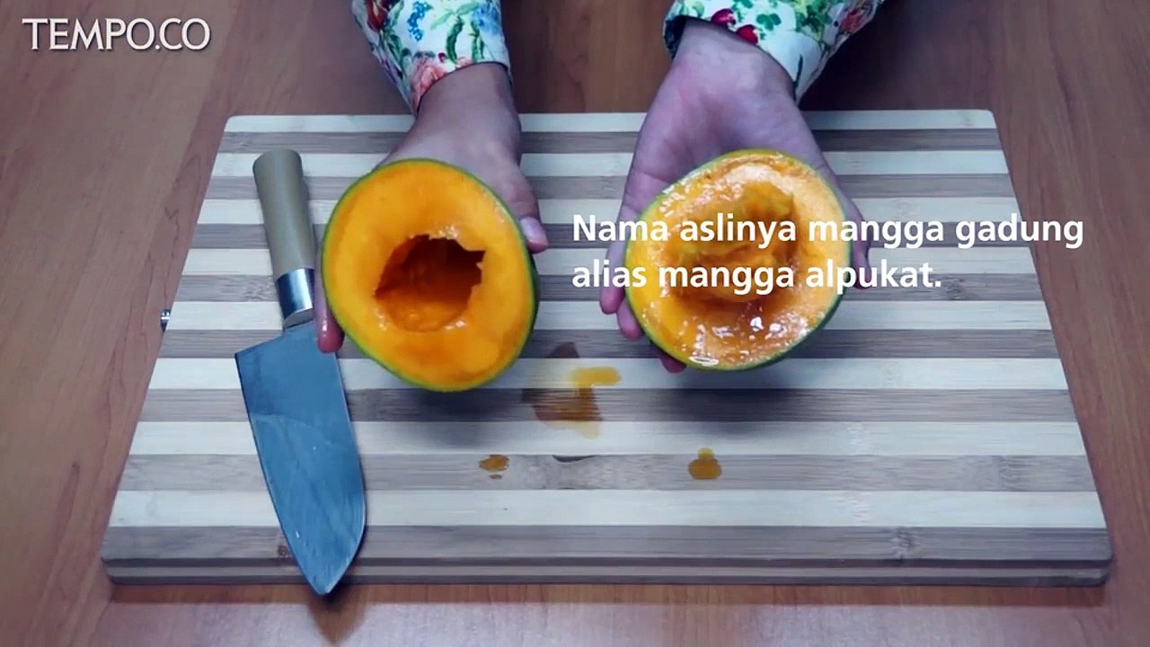 Asal Usul Mangga Alpukat