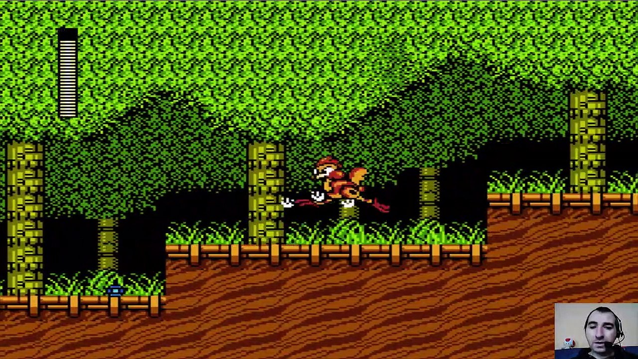 Megaman 2 (NES)